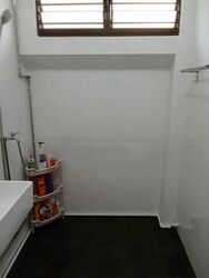 Blk 270 Bishan Street 24 (Bishan), HDB 4 Rooms #455443131